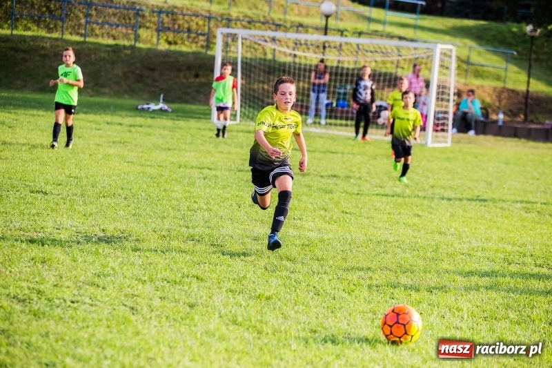 Zdjęcie w galerii na portalu naszraciborz.pl: Pewna wygrana orlików Salosu Pogrzebień nad kuźniańską Stalą wiadomości z regionu
