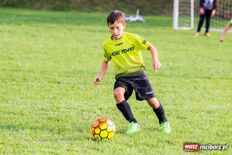 Zdjęcie w galerii na portalu naszraciborz.pl: Pewna wygrana orlików Salosu Pogrzebień nad kuźniańską Stalą wiadomości z regionu