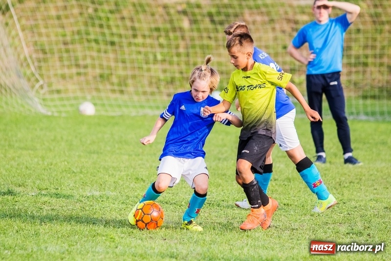 Zdjęcie w galerii na portalu naszraciborz.pl: Pewna wygrana orlików Salosu Pogrzebień nad kuźniańską Stalą wiadomości z regionu