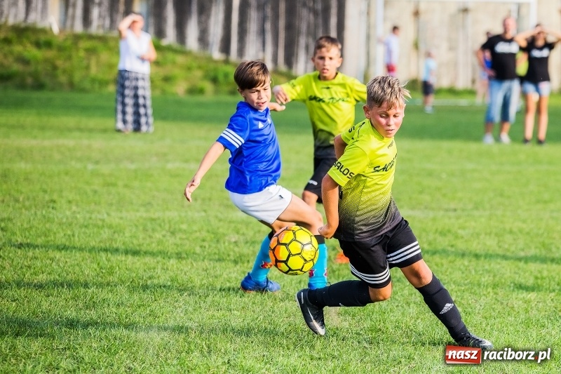 Zdjęcie w galerii na portalu naszraciborz.pl: Pewna wygrana orlików Salosu Pogrzebień nad kuźniańską Stalą wiadomości z regionu