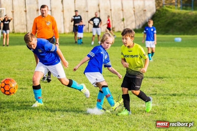 Zdjęcie w galerii na portalu naszraciborz.pl: Pewna wygrana orlików Salosu Pogrzebień nad kuźniańską Stalą wiadomości z regionu