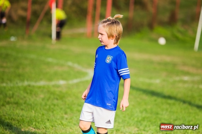 Zdjęcie w galerii na portalu naszraciborz.pl: Pewna wygrana orlików Salosu Pogrzebień nad kuźniańską Stalą wiadomości z regionu