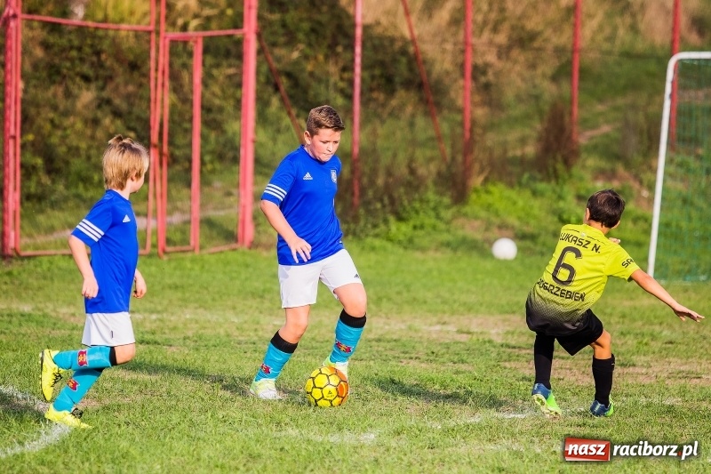 Zdjęcie w galerii na portalu naszraciborz.pl: Pewna wygrana orlików Salosu Pogrzebień nad kuźniańską Stalą wiadomości z regionu