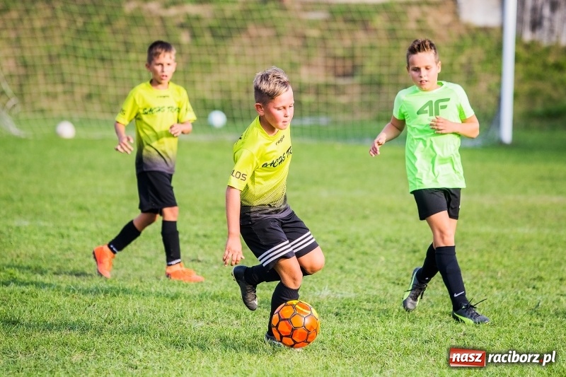 Zdjęcie w galerii na portalu naszraciborz.pl: Pewna wygrana orlików Salosu Pogrzebień nad kuźniańską Stalą wiadomości z regionu