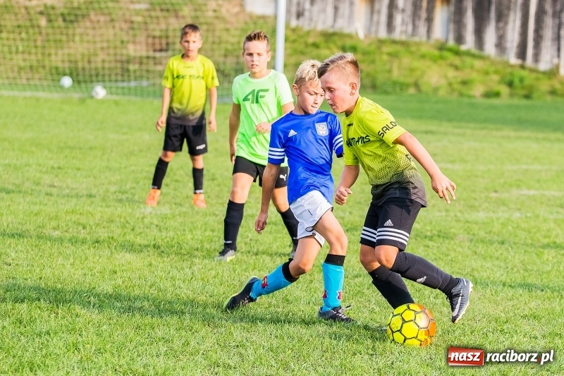 Zdjęcie w galerii na portalu naszraciborz.pl: Pewna wygrana orlików Salosu Pogrzebień nad kuźniańską Stalą wiadomości z regionu