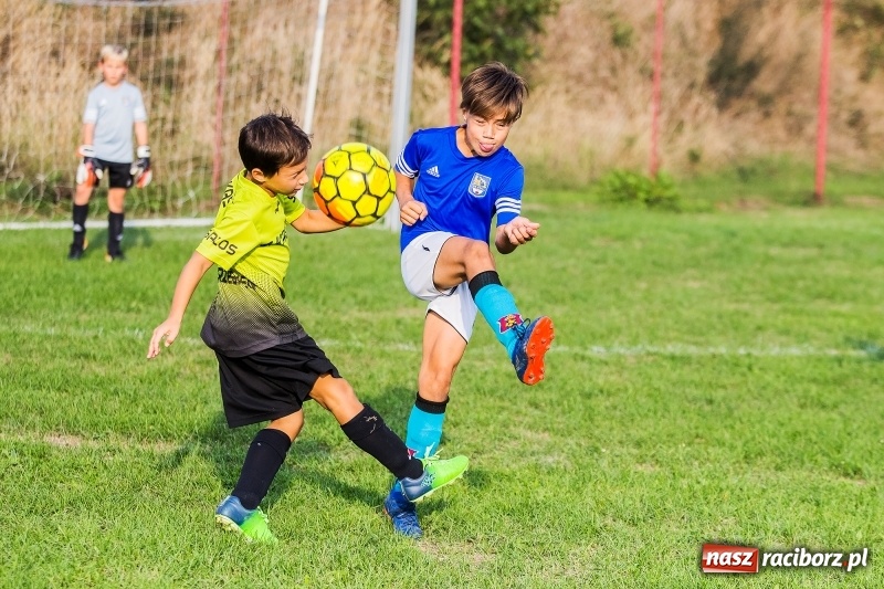 Zdjęcie w galerii na portalu naszraciborz.pl: Pewna wygrana orlików Salosu Pogrzebień nad kuźniańską Stalą wiadomości z regionu