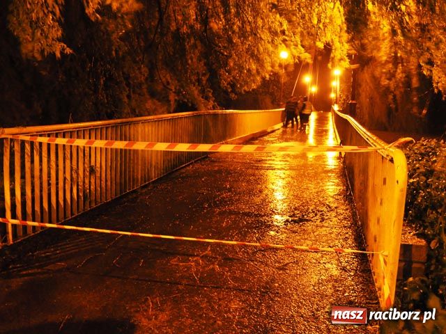 Zdjęcie w galerii na portalu naszraciborz.pl: Autobusy odjechały niemalże puste wiadomości z regionu