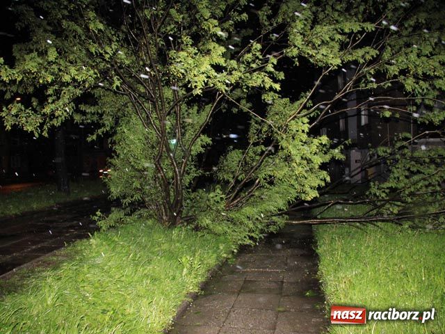 Zdjęcie w galerii na portalu naszraciborz.pl: Autobusy odjechały niemalże puste wiadomości z regionu