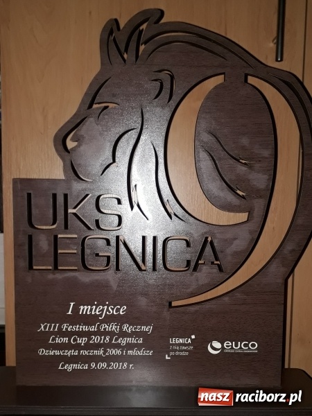 Zdjęcie w galerii na portalu naszraciborz.pl: Dwa sukcesy najmłodszych szczypiornistek z Pietrowic wiadomości z regionu