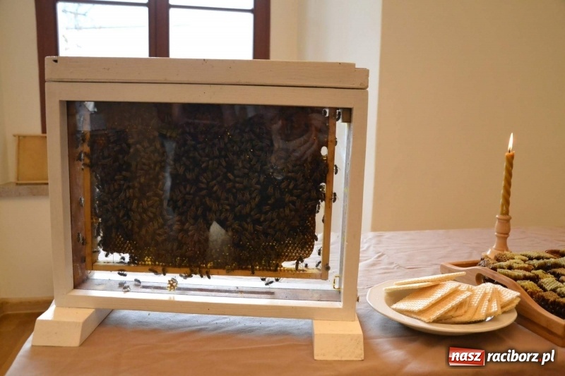 Zdjęcie w galerii na portalu naszraciborz.pl: Przy książęcym stole - wernisaż z degustacją potraw na Zamku Piastowskim wiadomości z regionu