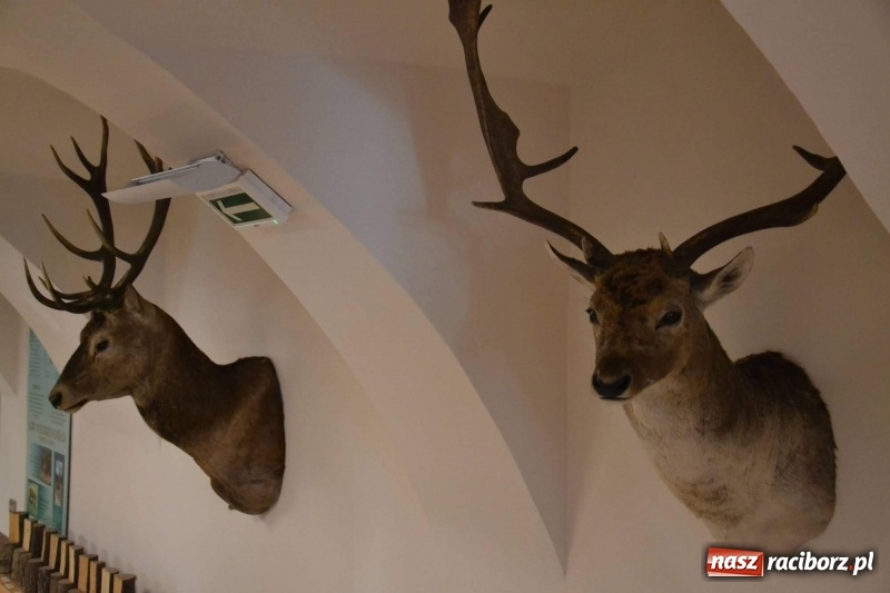 Zdjęcie w galerii na portalu naszraciborz.pl: Przy książęcym stole - wernisaż z degustacją potraw na Zamku Piastowskim wiadomości z regionu