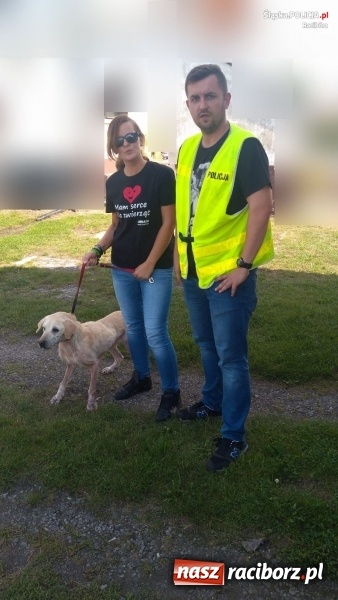 Zdjęcie w galerii na portalu naszraciborz.pl: Bulwersujące zdarzenie z Nędzy. Policjanci i OTOZ Animals uratowali dręczonego psa  wiadomości z regionu