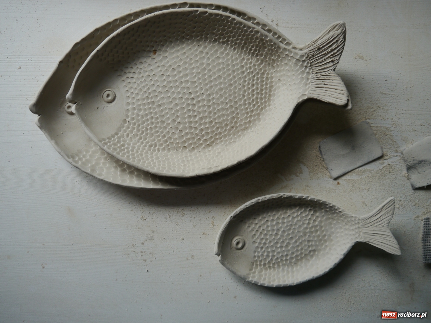 Zdjęcie w galerii na portalu naszraciborz.pl: Fundusze europejskie dla młodych osób. Spot promocyjny z przedsiębiorczą raciborzanką wiadomości z regionu