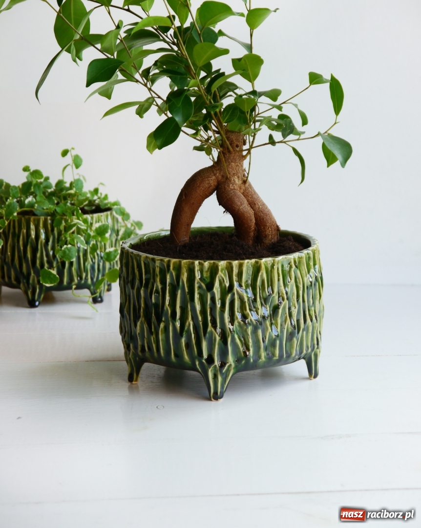 Zdjęcie w galerii na portalu naszraciborz.pl: Fundusze europejskie dla młodych osób. Spot promocyjny z przedsiębiorczą raciborzanką wiadomości z regionu