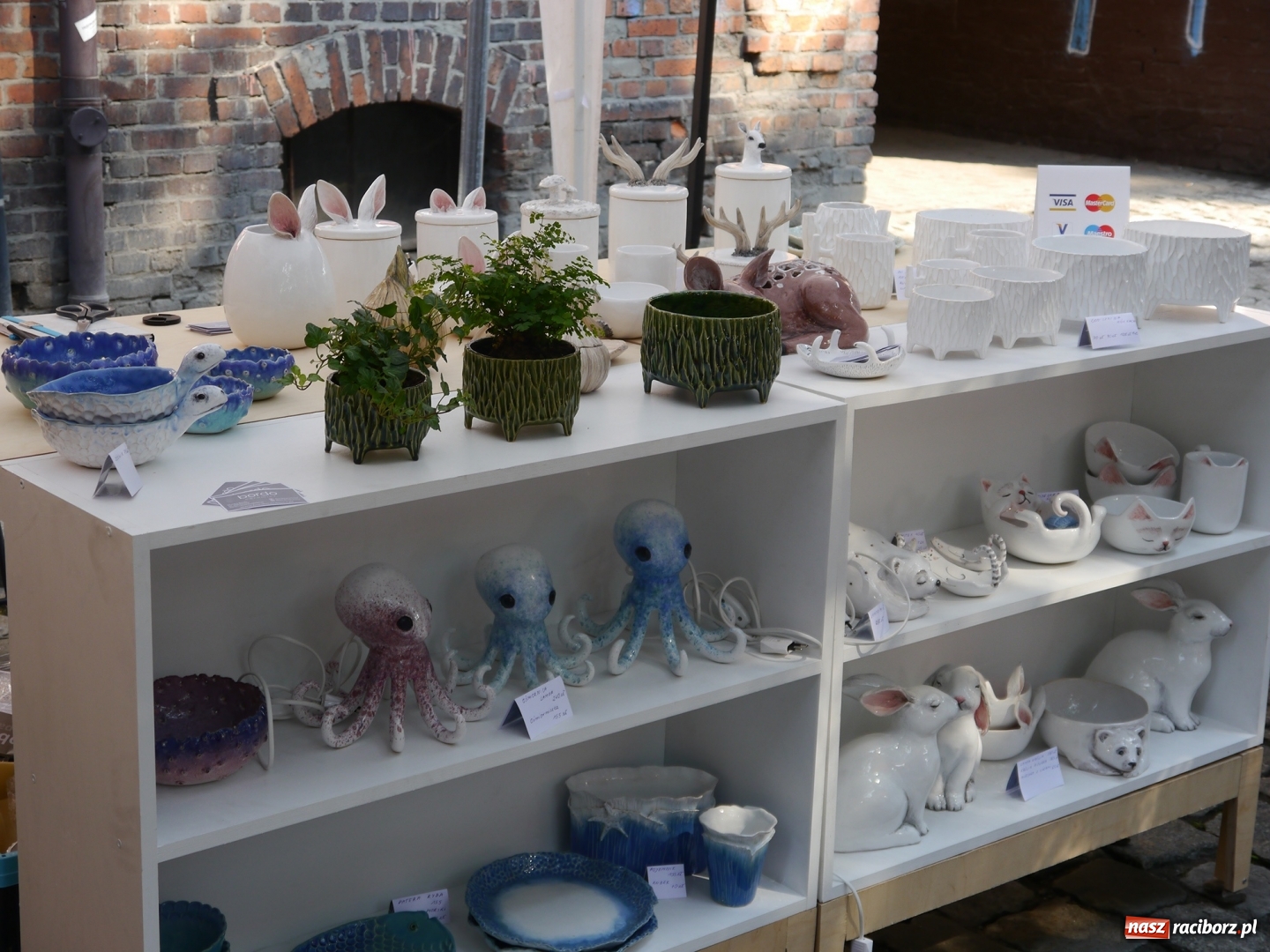 Zdjęcie w galerii na portalu naszraciborz.pl: Fundusze europejskie dla młodych osób. Spot promocyjny z przedsiębiorczą raciborzanką wiadomości z regionu