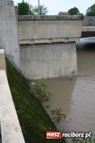 Zdjęcie w galerii na portalu naszraciborz.pl: Racibórz po niespokojnej nocy. Zdjęcia. wiadomości z regionu