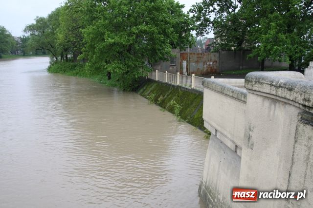 Zdjęcie w galerii na portalu naszraciborz.pl: Racibórz po niespokojnej nocy. Zdjęcia. wiadomości z regionu