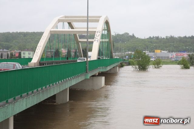 Zdjęcie w galerii na portalu naszraciborz.pl: Racibórz po niespokojnej nocy. Zdjęcia. wiadomości z regionu