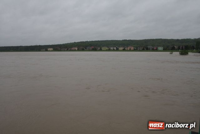 Zdjęcie w galerii na portalu naszraciborz.pl: Racibórz po niespokojnej nocy. Zdjęcia. wiadomości z regionu