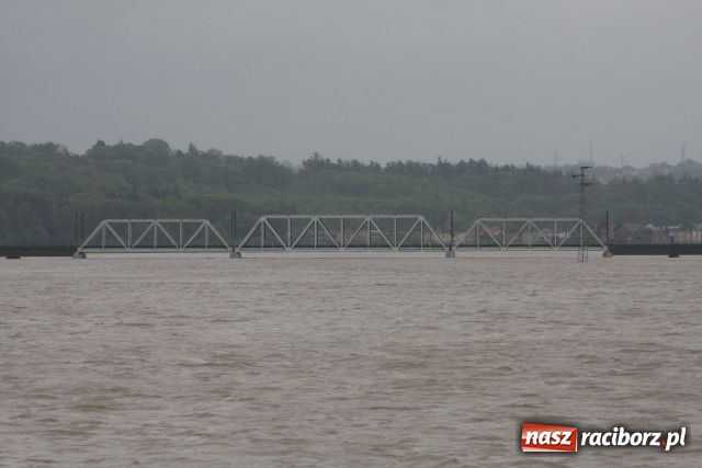 Zdjęcie w galerii na portalu naszraciborz.pl: Racibórz po niespokojnej nocy. Zdjęcia. wiadomości z regionu