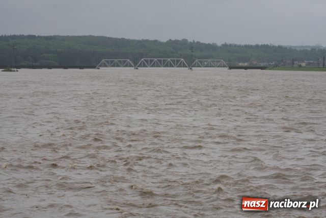 Zdjęcie w galerii na portalu naszraciborz.pl: Racibórz po niespokojnej nocy. Zdjęcia. wiadomości z regionu