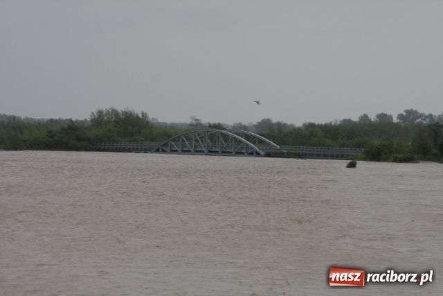 Zdjęcie w galerii na portalu naszraciborz.pl: Racibórz po niespokojnej nocy. Zdjęcia. wiadomości z regionu