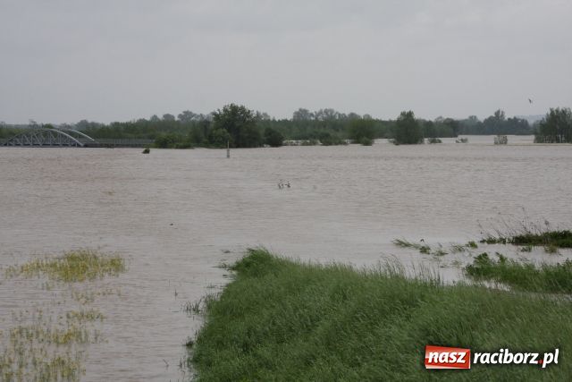 Zdjęcie w galerii na portalu naszraciborz.pl: Racibórz po niespokojnej nocy. Zdjęcia. wiadomości z regionu
