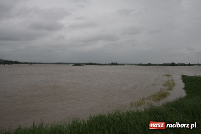 Zdjęcie w galerii na portalu naszraciborz.pl: Racibórz po niespokojnej nocy. Zdjęcia. wiadomości z regionu