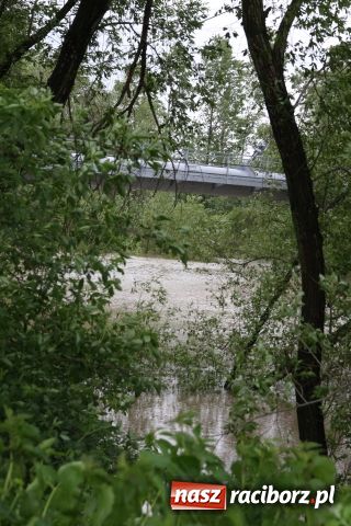 Zdjęcie w galerii na portalu naszraciborz.pl: Racibórz po niespokojnej nocy. Zdjęcia. wiadomości z regionu