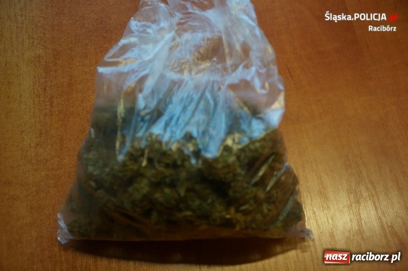 Zdjęcie w galerii na portalu naszraciborz.pl: Raciborscy kryminalni zatrzymali 32-latka z narkotykami  wiadomości z regionu