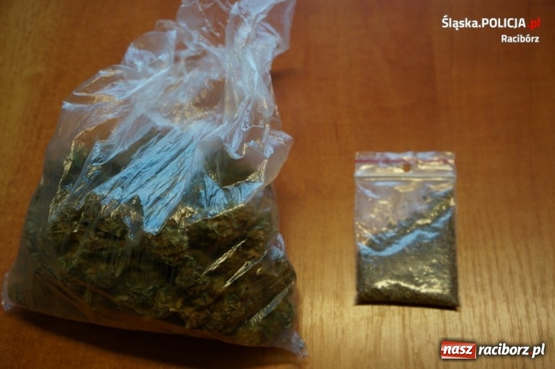 Zdjęcie w galerii na portalu naszraciborz.pl: Raciborscy kryminalni zatrzymali 32-latka z narkotykami  wiadomości z regionu