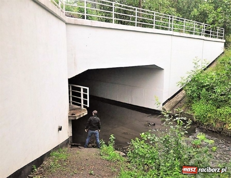 Zdjęcie w galerii na portalu naszraciborz.pl: Tunelem wzdłuż Nacyny przejedziemy rowerem wiadomości z regionu