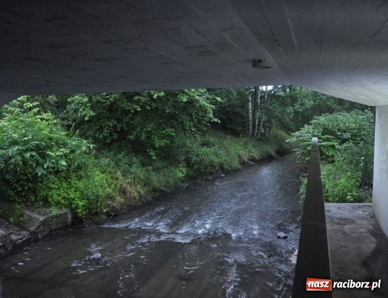Zdjęcie w galerii na portalu naszraciborz.pl: Tunelem wzdłuż Nacyny przejedziemy rowerem wiadomości z regionu