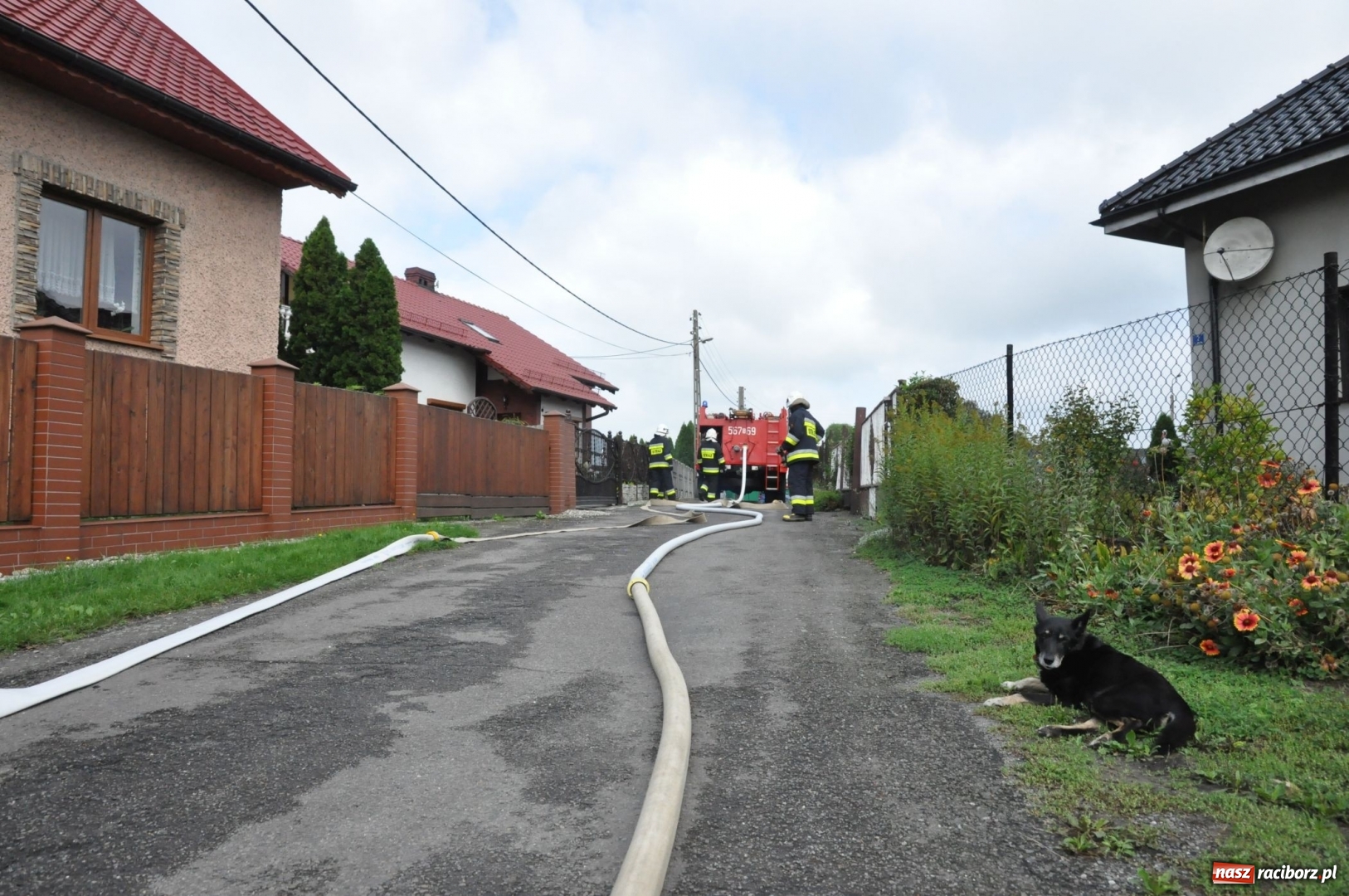 Zdjęcie w galerii na portalu naszraciborz.pl: Pożar w domu seniora! Polsko-czeskie ćwiczenia bojowe w Zabełkowie FOTO i WIDEO wiadomości z regionu