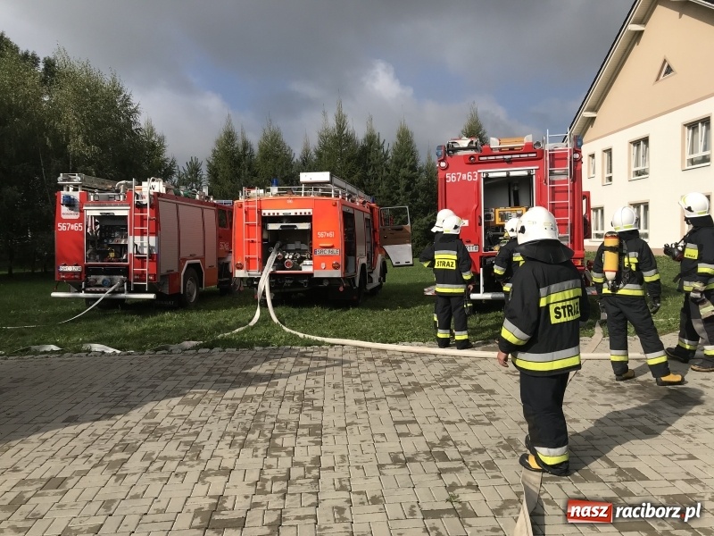 Zdjęcie w galerii na portalu naszraciborz.pl: Pożar w domu seniora! Polsko-czeskie ćwiczenia bojowe w Zabełkowie FOTO i WIDEO wiadomości z regionu