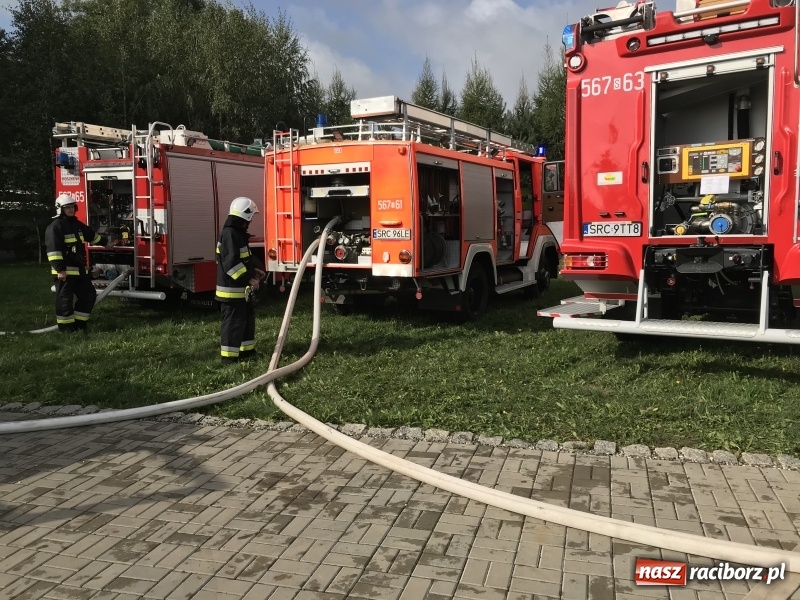 Zdjęcie w galerii na portalu naszraciborz.pl: Pożar w domu seniora! Polsko-czeskie ćwiczenia bojowe w Zabełkowie FOTO i WIDEO wiadomości z regionu