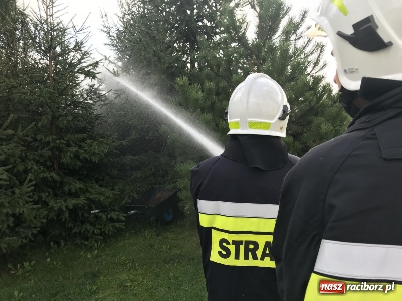 Zdjęcie w galerii na portalu naszraciborz.pl: Pożar w domu seniora! Polsko-czeskie ćwiczenia bojowe w Zabełkowie FOTO i WIDEO wiadomości z regionu