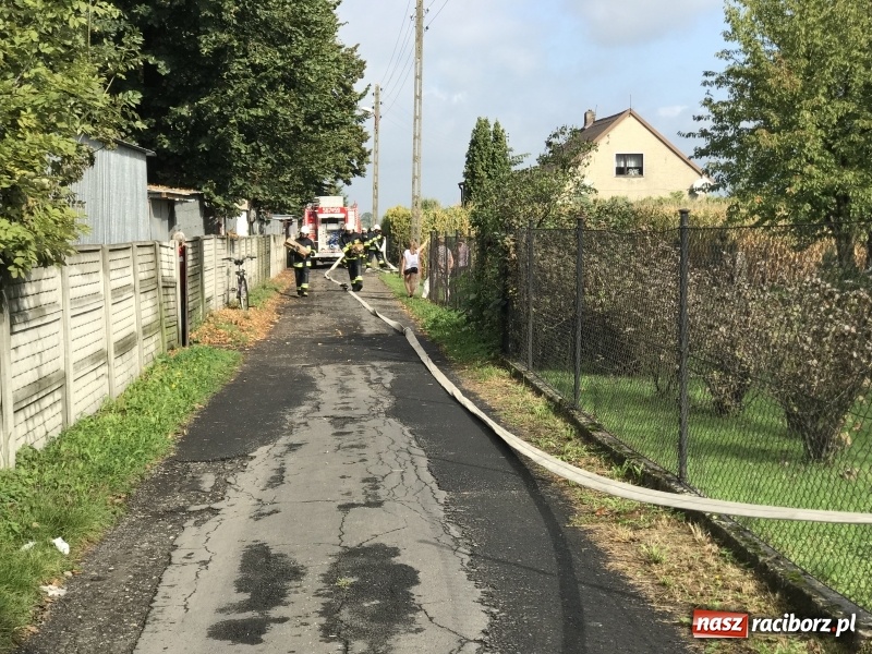 Zdjęcie w galerii na portalu naszraciborz.pl: Pożar w domu seniora! Polsko-czeskie ćwiczenia bojowe w Zabełkowie FOTO i WIDEO wiadomości z regionu