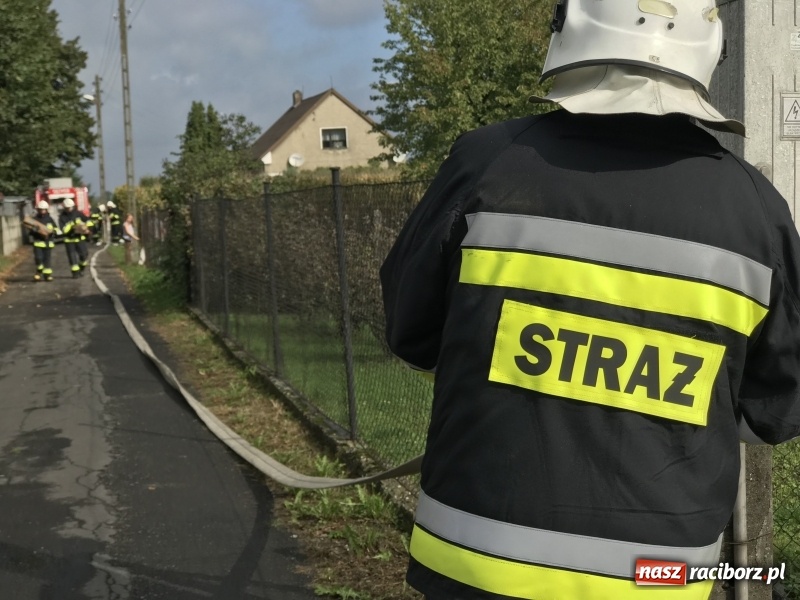 Zdjęcie w galerii na portalu naszraciborz.pl: Pożar w domu seniora! Polsko-czeskie ćwiczenia bojowe w Zabełkowie FOTO i WIDEO wiadomości z regionu