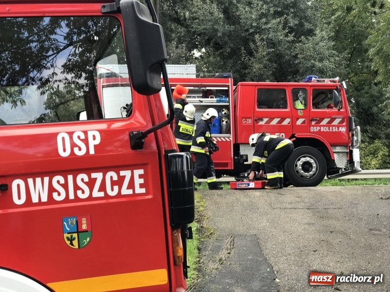 Zdjęcie w galerii na portalu naszraciborz.pl: Pożar w domu seniora! Polsko-czeskie ćwiczenia bojowe w Zabełkowie FOTO i WIDEO wiadomości z regionu