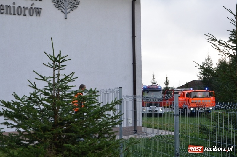 Zdjęcie w galerii na portalu naszraciborz.pl: Pożar w domu seniora! Polsko-czeskie ćwiczenia bojowe w Zabełkowie FOTO i WIDEO wiadomości z regionu
