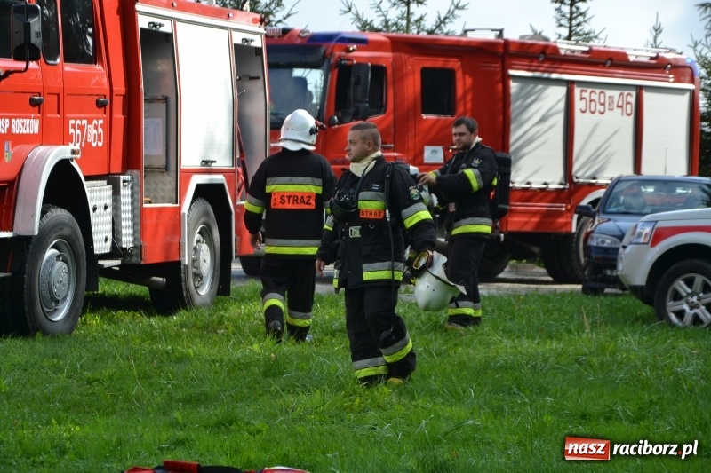 Zdjęcie w galerii na portalu naszraciborz.pl: Pożar w domu seniora! Polsko-czeskie ćwiczenia bojowe w Zabełkowie FOTO i WIDEO wiadomości z regionu