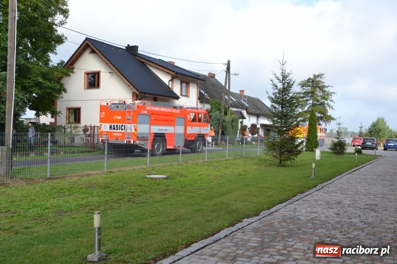 Zdjęcie w galerii na portalu naszraciborz.pl: Pożar w domu seniora! Polsko-czeskie ćwiczenia bojowe w Zabełkowie FOTO i WIDEO wiadomości z regionu