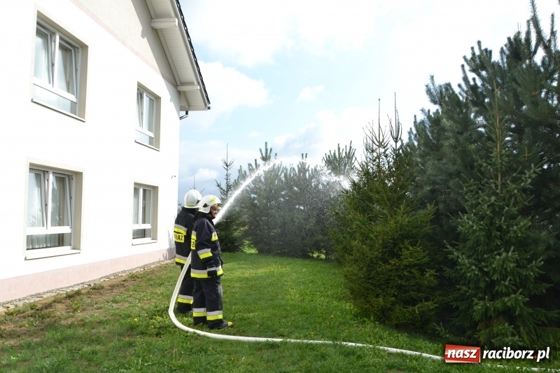 Zdjęcie w galerii na portalu naszraciborz.pl: Pożar w domu seniora! Polsko-czeskie ćwiczenia bojowe w Zabełkowie FOTO i WIDEO wiadomości z regionu