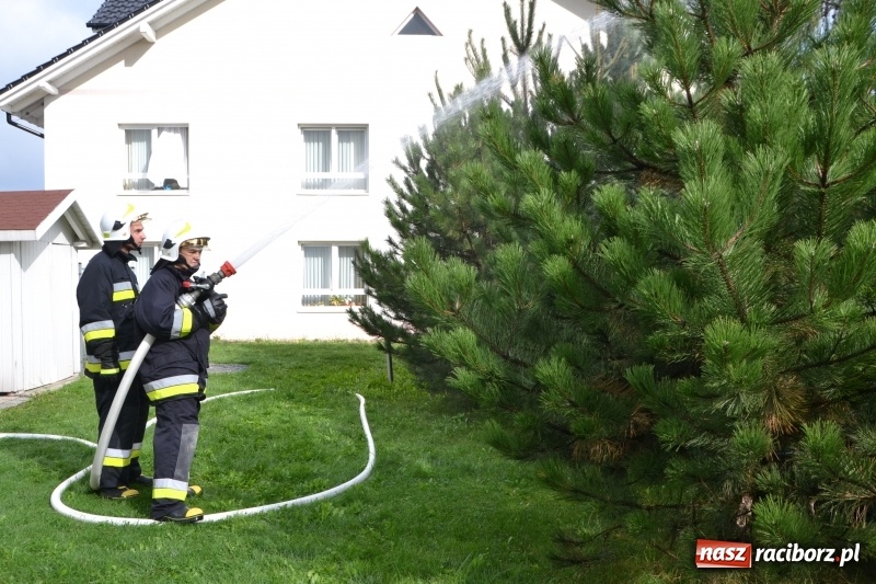 Zdjęcie w galerii na portalu naszraciborz.pl: Pożar w domu seniora! Polsko-czeskie ćwiczenia bojowe w Zabełkowie FOTO i WIDEO wiadomości z regionu