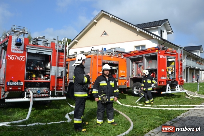 Zdjęcie w galerii na portalu naszraciborz.pl: Pożar w domu seniora! Polsko-czeskie ćwiczenia bojowe w Zabełkowie FOTO i WIDEO wiadomości z regionu
