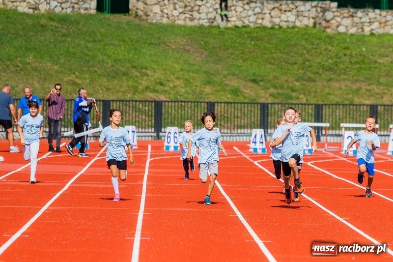 Zdjęcie w galerii na portalu naszraciborz.pl: Lekkoatletyczne Mistrzostwa Polski w Raciborzu wiadomości z regionu