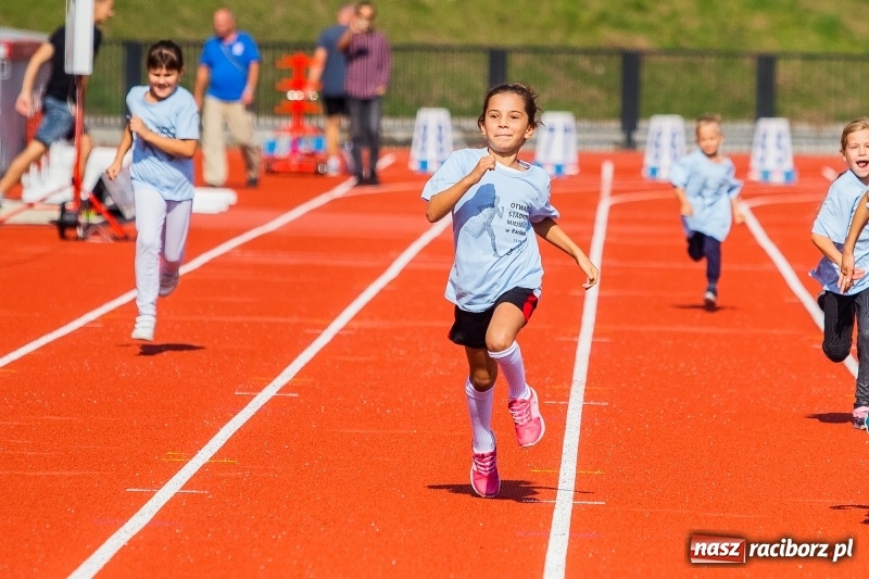 Zdjęcie w galerii na portalu naszraciborz.pl: Lekkoatletyczne Mistrzostwa Polski w Raciborzu wiadomości z regionu