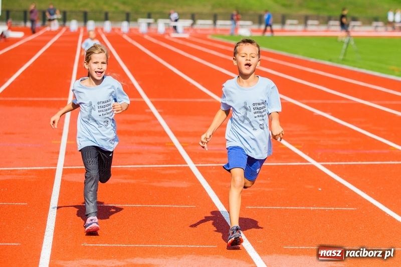Zdjęcie w galerii na portalu naszraciborz.pl: Lekkoatletyczne Mistrzostwa Polski w Raciborzu wiadomości z regionu
