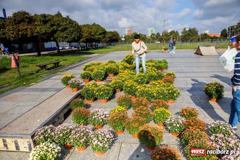 Zdjęcie w galerii na portalu naszraciborz.pl: Zbiórka elektrośmieci w Raciborzu wiadomości z regionu